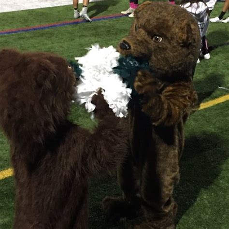 Vote for the Brewster Bear as the Best Mascot