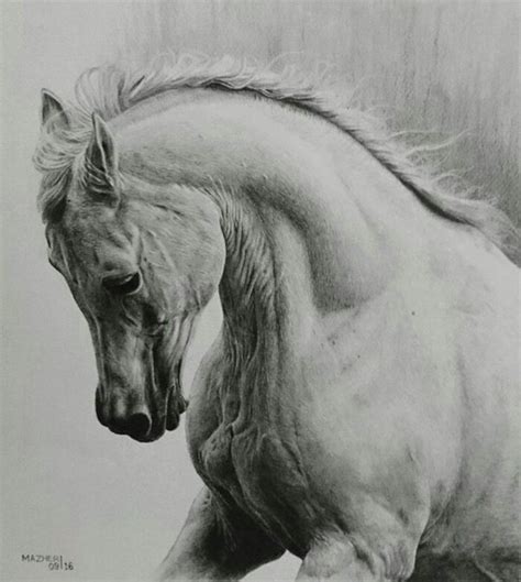 6+ Pencil Hyper Realistic Drawing - MaireCalley