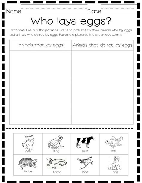 Animals that lay eggs worksheet | English as a second language (esl), English as a second ...