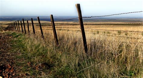 Pilot Rock HS Photography: (SS) Old Fence by Ginni H.