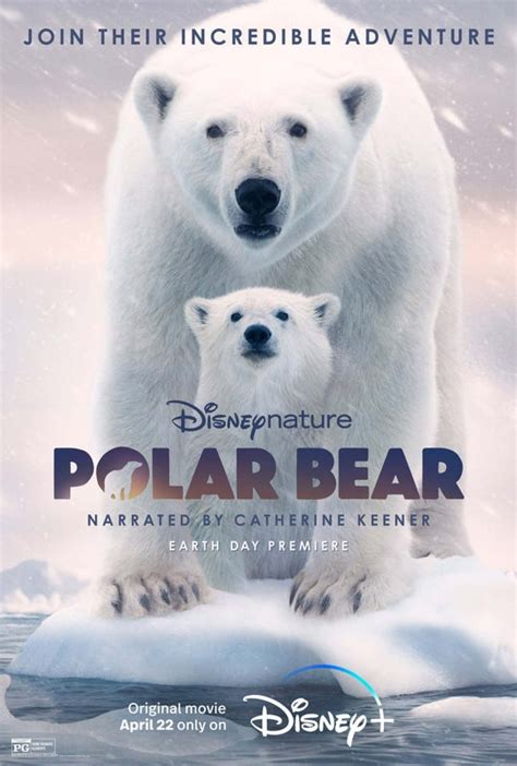 ‘Polar Bear’: Robin Holabird’s Movie Review