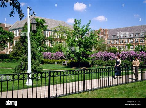 Residence halls on campus of Michigan State University, East Lansing Stock Photo: 13117622 - Alamy