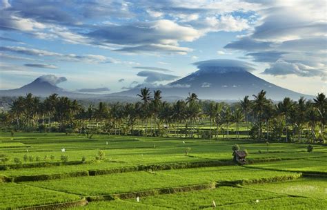 Pemandangan Sawah Bali Youtube - Riset