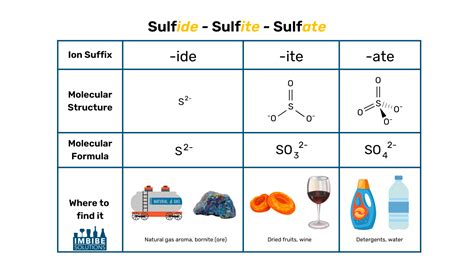 The Not-So-Stinky Perks of Sulfur — Imbibe Solutions