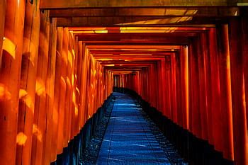 gray concrete hallway, narrow, pathway, architecture, building, infrastructure, hallway, lights ...