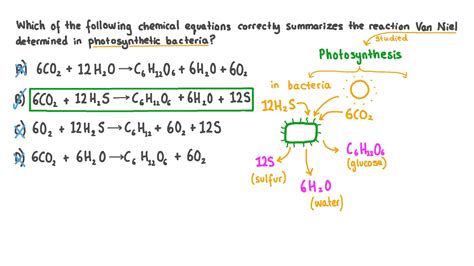 Question Video: Recalling the Correct Chemical Equation for ...