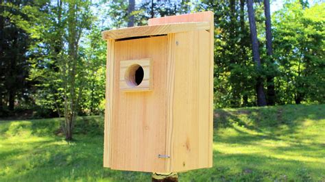 How to build a small bird house - Builders Villa