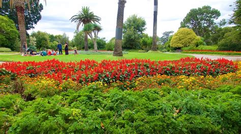 St. Kilda Botanical Gardens - Tours and Activities | Expedia