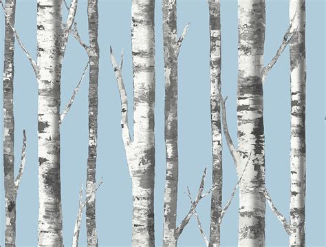 Birch Tree Wallpapers on WallpaperDog