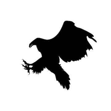 Premium Vector | Bald Eagle In Flight in silhouette stock illustration