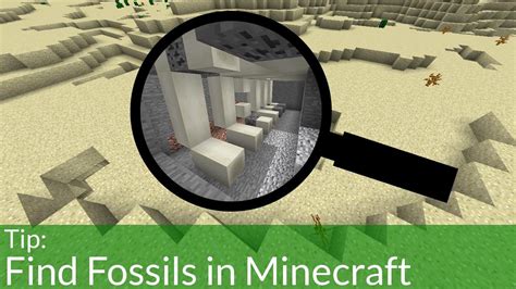 Top 37+ imagen fossil minecraft - Abzlocal.mx