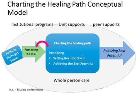 The Impact of Kristen Swanson's Theory of Caring Diagram on Nursing ...