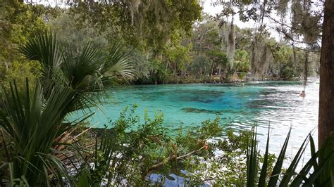 Silver Glen Springs, Florida. Beautiful green bluest waters out of the ...