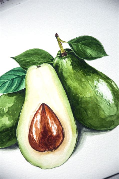 Original watercolor avocado painting | Vegetable painting, Avocado painting, Watercolor fruit