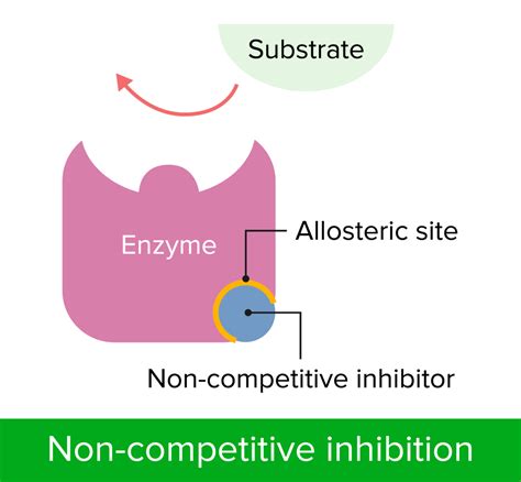 What Causes Competitive Inhibition Example - Bank2home.com