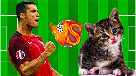 ronaldo vs cat(funny video)😹 - YouTube