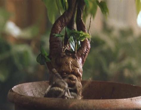 Mandrake Restorative Draught | Harry Potter Wiki | Fandom powered by Wikia