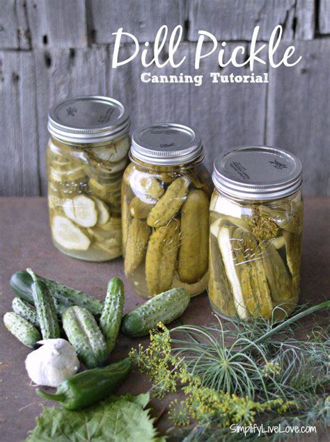 Dill Pickles Canning Tutorial + Grandma's Secret Recipe | Simplify Live ...