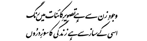 Allama Iqbal Poetry کلام علامہ محمد اقبال: (Zarb-e-Kaleem-103) Aurat