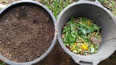 Cara Membuat Pupuk Kompos Dari Sampah Organik - Bertani
