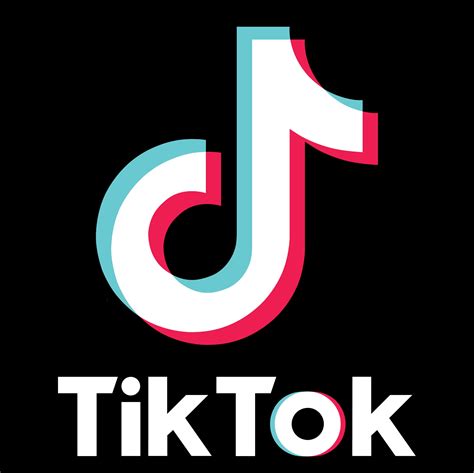 TikTok Logo Sticker Vinyl Decal | Etsy