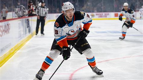 Anaheim Ducks Announce Roster Moves | San Diego Gulls