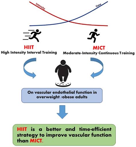 High-intensity interval training improves the vascular endothelial function comparing moderate ...