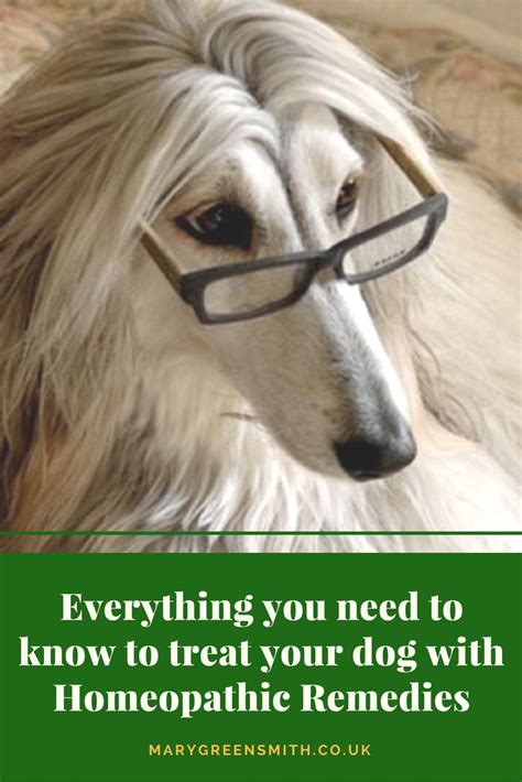 Homeopathy Course For Dog Owners | Dogs, Dog owners, Homeopathy