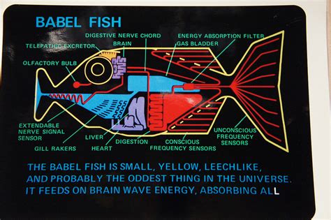 ‘Babel Fish’ Pilot Earpiece Translates Languages in Real TimeMy English ...