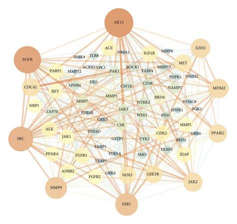 Protein-protein interaction network. | Download Scientific Diagram