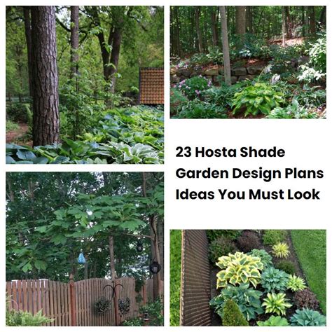 23 Hosta Shade Garden Design Plans Ideas You Must Look | SharonSable