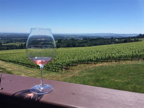 Domaine Drouhin | Oregon Vineyard Review | Oregon vineyards, Oregon ...