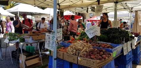 What Are the Best Farmer's Markets in the East Bay? | The Bold Italic