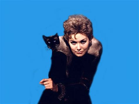 20 Lovely Photos of Kim Novak With Her Cat Pyewacket in “Bell, Book, And Candle” (1958 ...