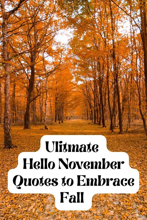 Ultimate Hello November Quotes to Embrace Fall - Darling Quote