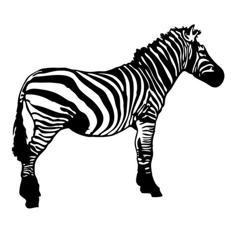 Zebra Vector Resource by pixelworlds on DeviantArt