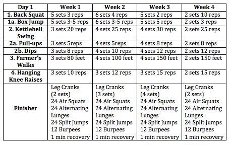 8-Week Obstacle Course Training Program - stack