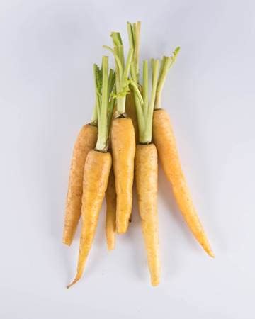 Yellow carrots: very sweet with a nutty finish, crunchy and juicy | The Chef's Garden