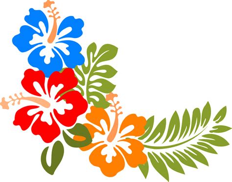 Download Hibiscus, Hawaii, Flowers. Royalty-Free Vector Graphic - Pixabay