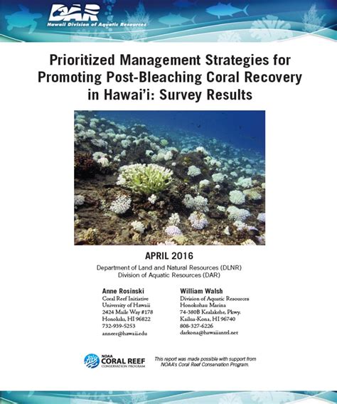 Reef Response | Coral Bleaching Recovery Plan