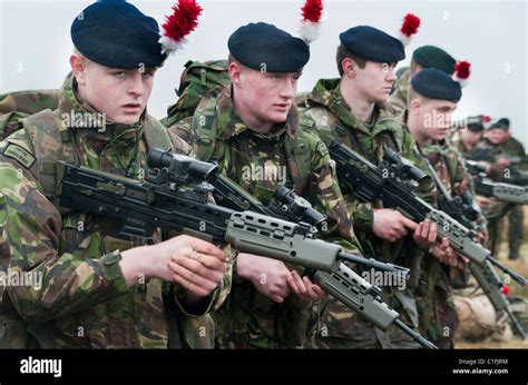 Soldiers from the Territorial Army training Stock Photo - Alamy