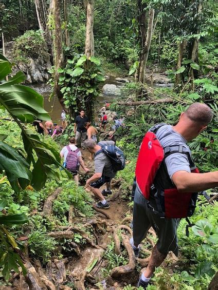 El Yunque Rainforest Guided Hiking Tour