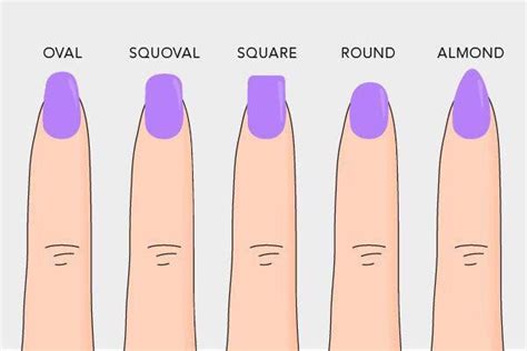 Types of nails | Acrylic nail shapes, Nail shapes, Wide nails