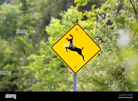 Deer Crossing Road Sign with Red Nosed Deer, Aurora, Ontario Stock Photo - Alamy