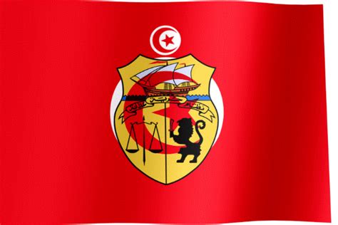 Tunisia Flag GIF | All Waving Flags