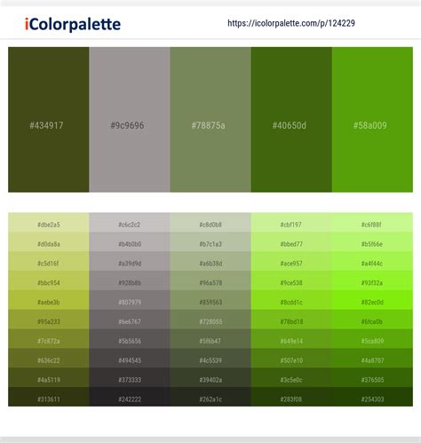 1 Latest Color Schemes with Dusty Gray And Christi Color tone combinations | 2024 | iColorpalette