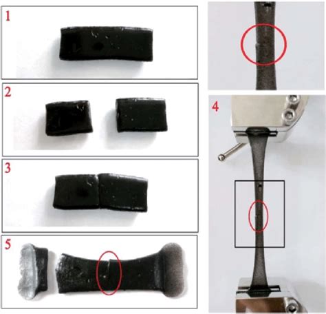 Self-healing process of magnetic hydrogel ((1) original sample; (2)... | Download Scientific Diagram