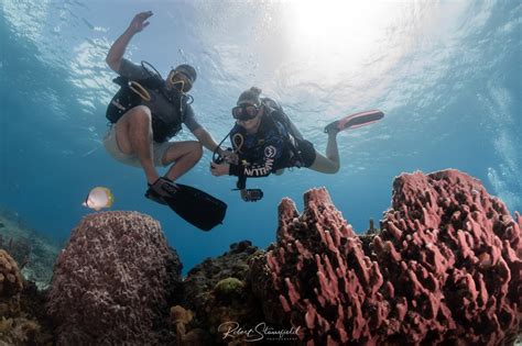 Cozumel Diving | Salty Endeavors Scuba Dive Shop