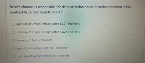 Solved Which channel is responsible for depolarization phase | Chegg.com