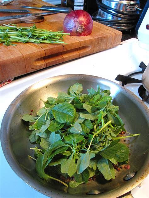 66 Square Feet (The Food): Pigweed crostini